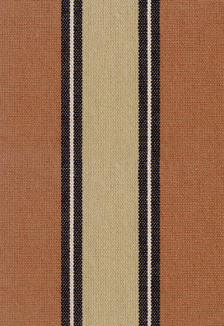 Jaipur Stripe - Brick/Walnut Swatch