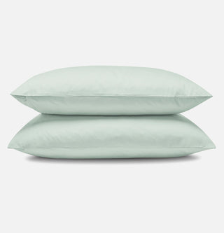 Spring blue pillowcases