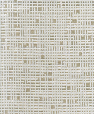 Rekha - Ecru Swatch