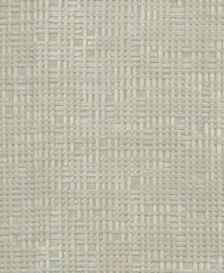 Rekha - Silver Swatch