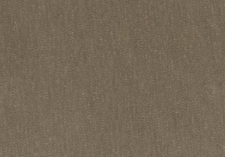 Slub Velvet - Caramel