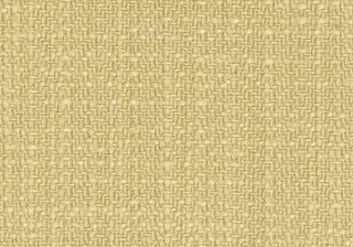 Slub Herringbone - Lime