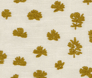 Amber Seeds - Tumeric Swatch