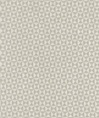 Zar - Silver Swatch