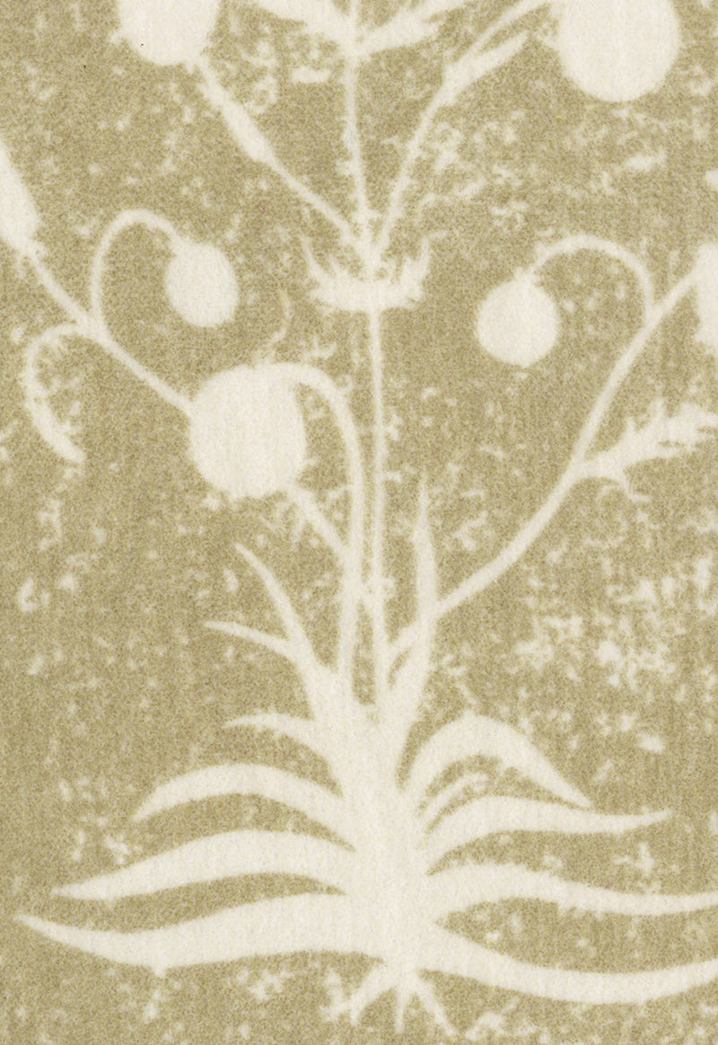 Fresco - Latte Swatch