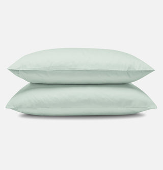 Spring blue pillowcases