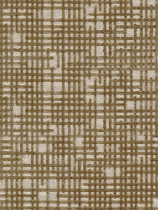 Rekha - Coffee Swatch