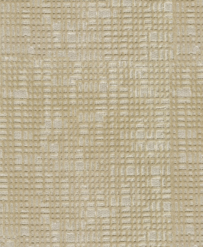 Rekha - Linen