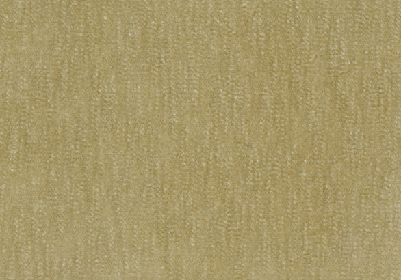 Slub Velvet - Beige
