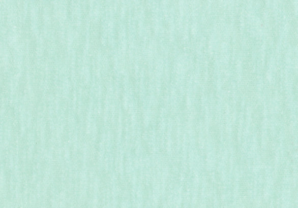 Slub Velvet - Mint Swatch