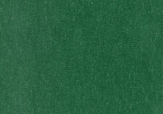 Slub Velvet - Forest Green