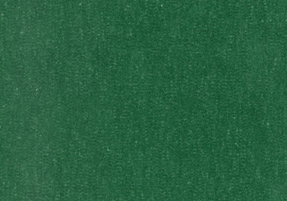 Slub Velvet - Forest Green Swatch
