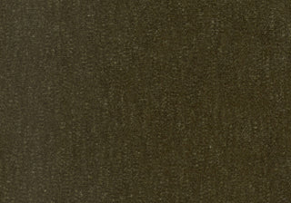 Slub Velvet - Moss Swatch