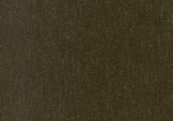 Slub Velvet - Moss
