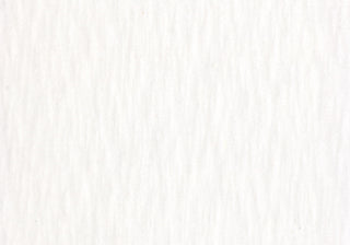 Slub Velvet - Cream Swatch