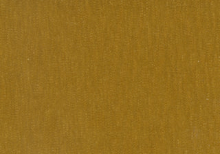 Slub Velvet - Turmeric Swatch
