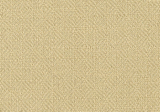 Structure - Sepia