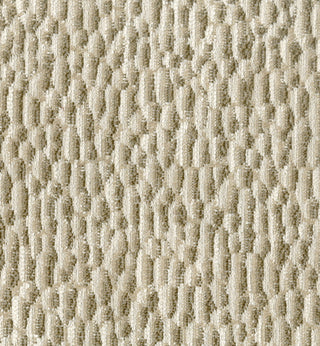 Taal - Coffee Swatch